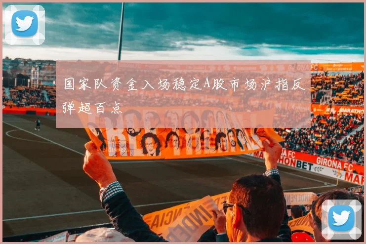 国家队资金入场稳定A股市场沪指反弹超百点