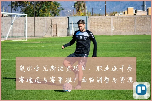 奥运会无斯诺克项目,职业选手参赛通道与赛事推广面临调整与资源分配挑战