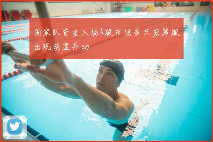 国家队资金入场A股市场多只蓝筹股出现明显异动
